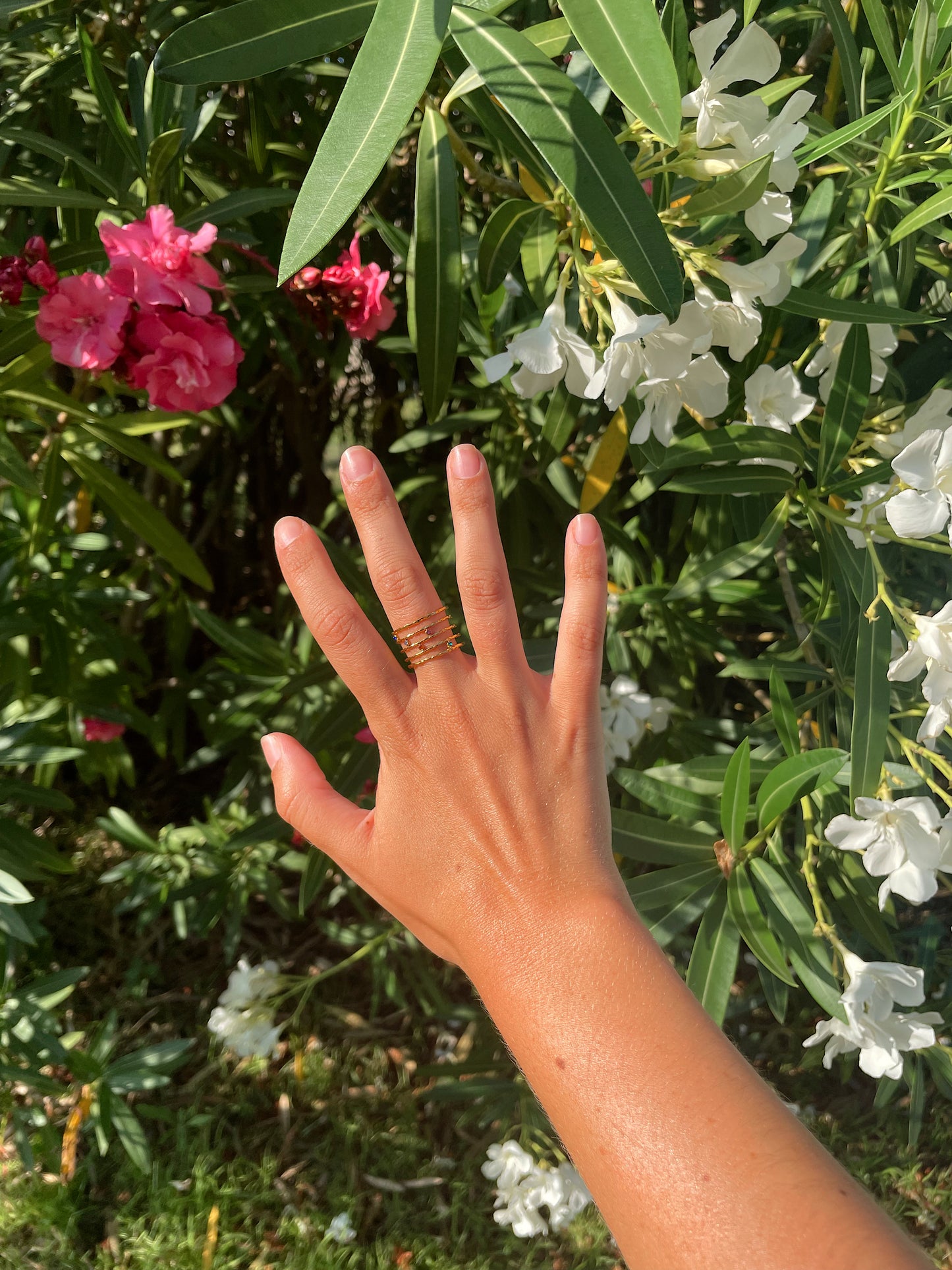 Anillo Cinque